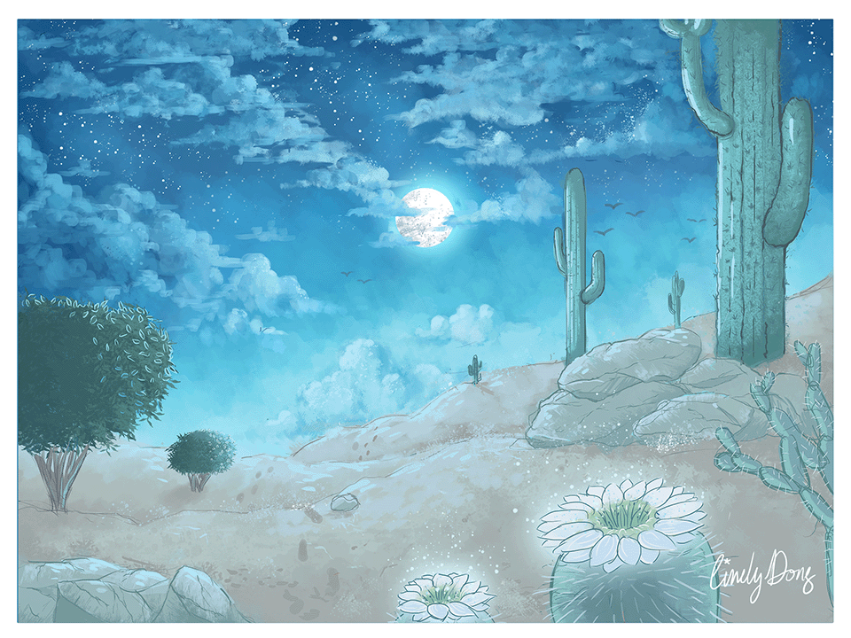 an image containing desert with different species of cactus at night