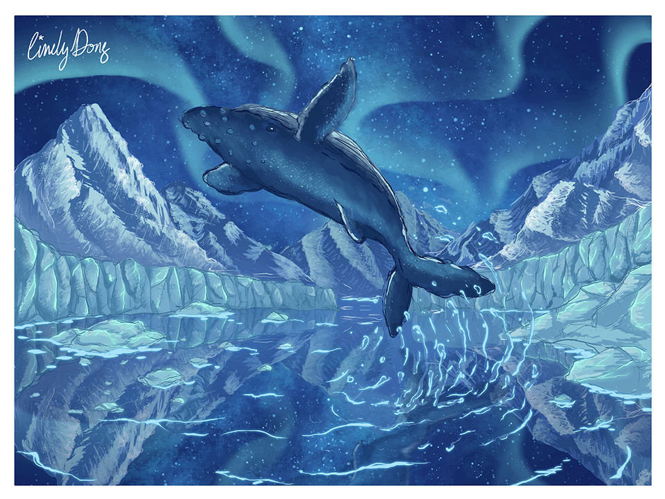 The illustration contains a humpback whale doing a flip in a landscape containing glaciers and snowy mountains in the background. The primary color is blue.                    