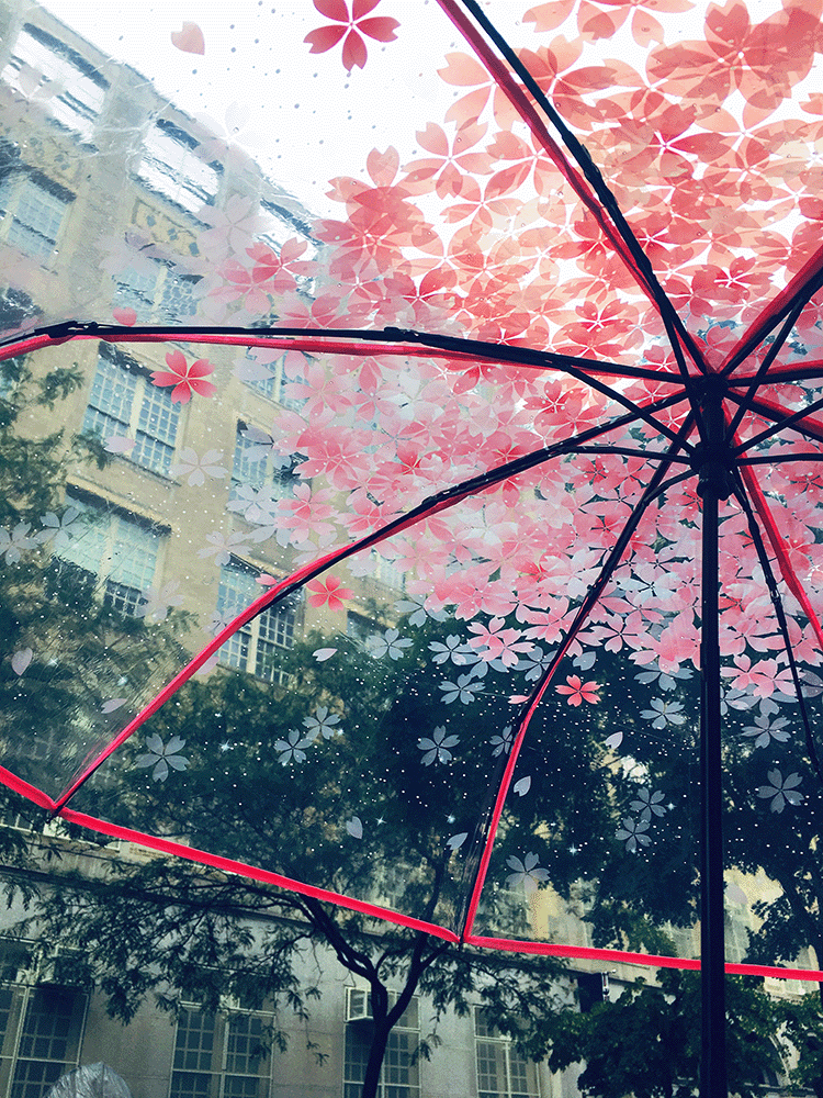 photo of seward park campus building covered by a transparent pink charrryblossom umbrella