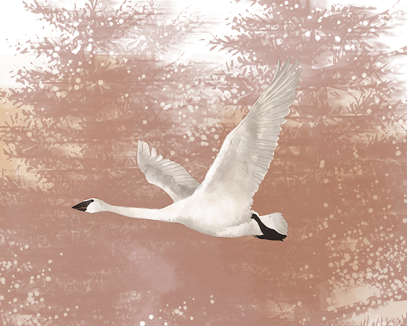 an image of a white swan in coffee color background with tree like textures