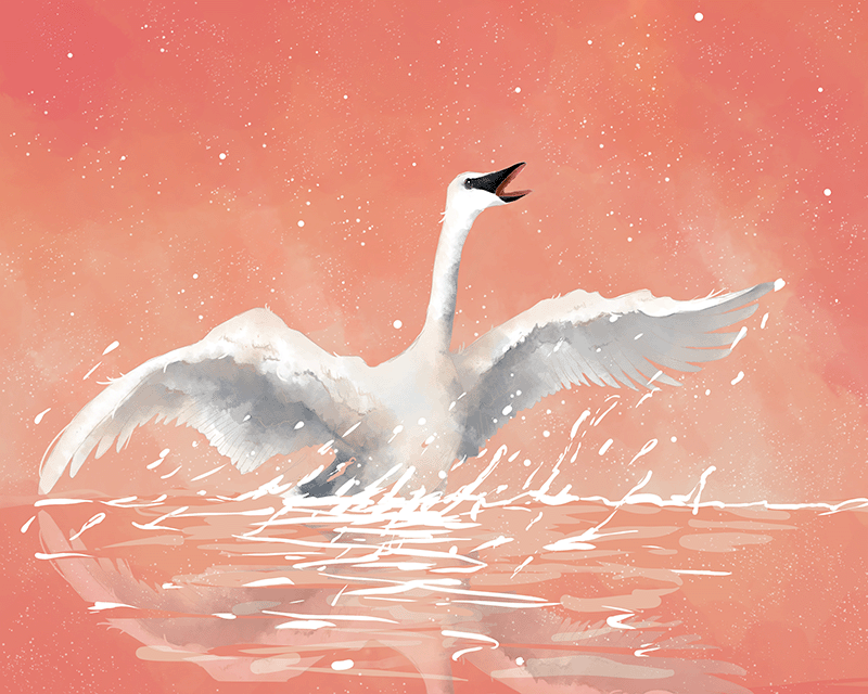 an image of a white swan making splashes in a bright coral colored background